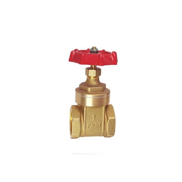 Ren cái và Van cổng đồng thau ISO228 (VG11.90011)