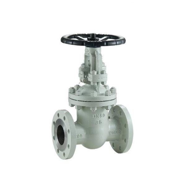 Van cổng nêm mặt bích Ss CF8-Wcb
