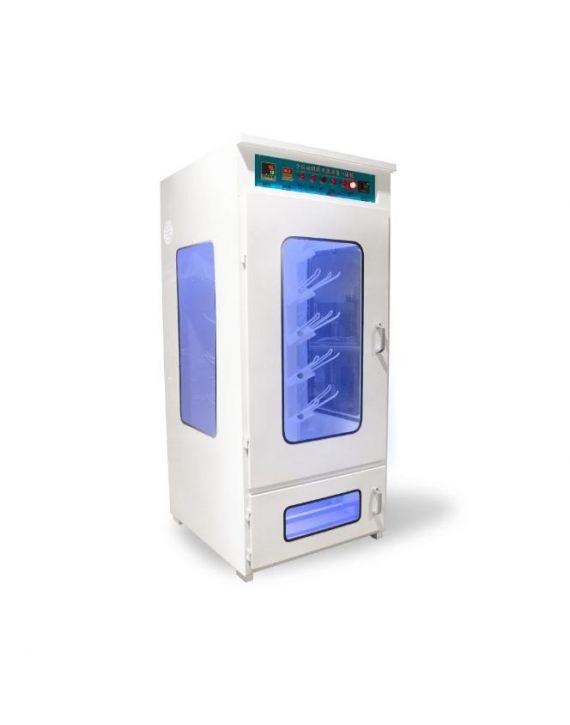 Máy sấy giày